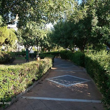 Beautiful House In Alimos Near To The Beach And Metro Athens Ngoại thất bức ảnh
